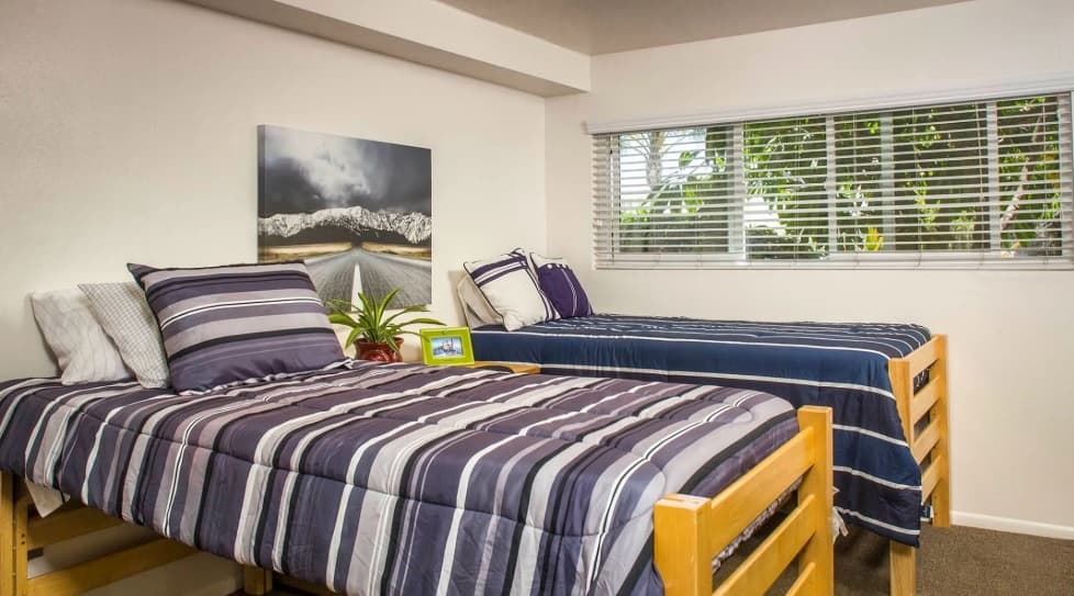 Two single beds with striped bedding sit side by side in a bright Tropicana Gardens dorm room. A small plant and photo frame rest on the shared nightstand. Natural light pours in through a large window, illuminating a landscape photo on the wall.
