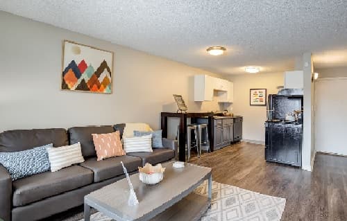 A modern apartment living area at The Social at Stadium Walk Fort Collins features a gray couch, colorful pillows, a coffee table, wall art, and an open-concept kitchen with dark appliances and bar seating. Wood flooring and neutral walls complete the space.