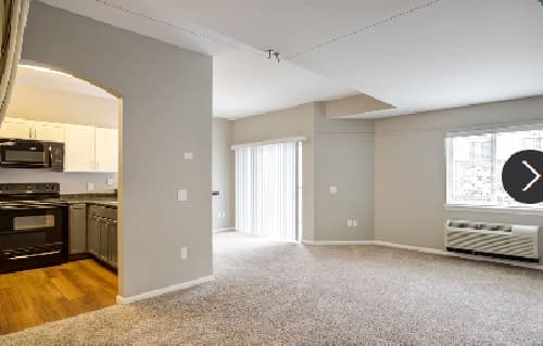 A modern, unfurnished apartment living room at The Social at Stadium Walk Fort Collins features beige carpet, a large window, sliding glass door, and a view into the kitchen with dark appliances and wood flooring.