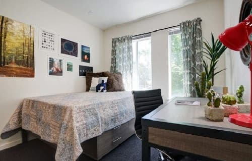 A bright, tidy bedroom at Union Apartments features a single bed with a patterned quilt, wall art, a desk with a red lamp, green plants, and two large windows with patterned curtains letting in natural light.