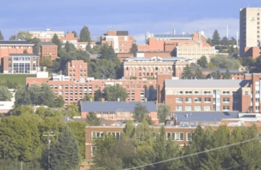 A cityscape featuring multiple red-brick buildings surrounded by green trees under a blue sky, evoking the charm of an institutional or university campus, reminiscent of Willow Place.