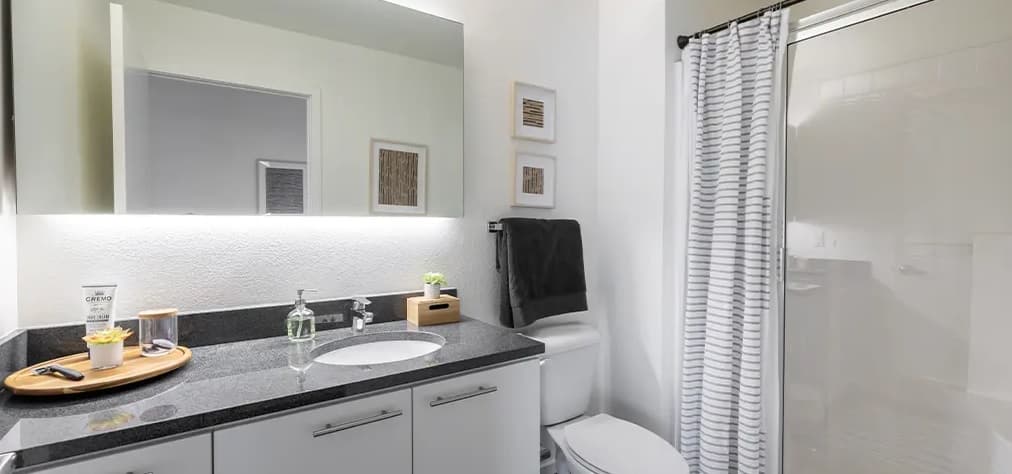 Vertex Apartments