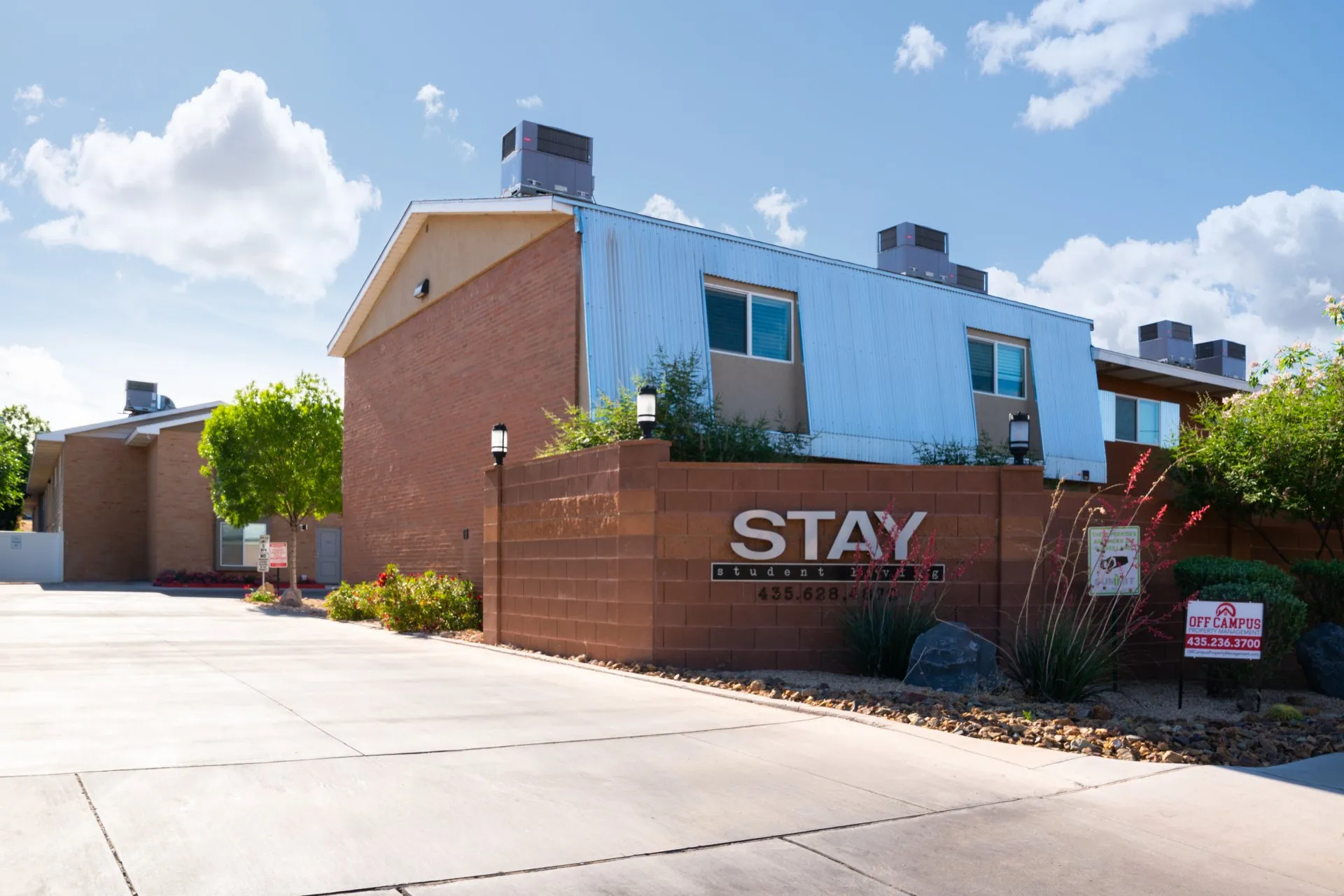 The Stay