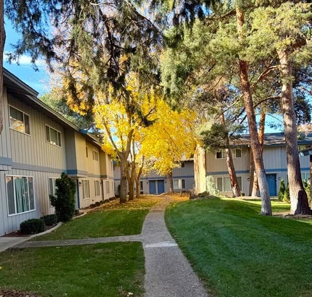 A pathway runs between two apartment buildings in Curtis Meadow Boise, bordered by green grass and tall trees, including one with bright yellow autumn leaves. Sunlight filters through the branches, creating a peaceful atmosphere.