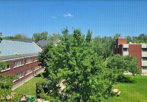 A sunny view of Keiser Hall Boise, with green trees, a grassy courtyard, and two red-brick buildings—one with a sloped roof and one with balconies—under a clear blue sky.
