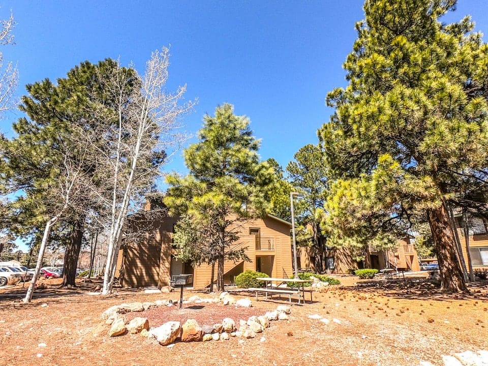 1 bed / 1 bath