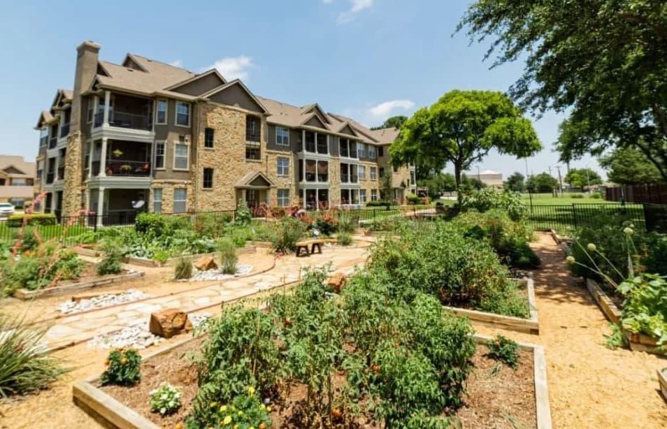 A community vegetable garden with raised beds sits in the foreground, while Marquis at Bellaire Ranch Fort Worth, a multi-story apartment building with balconies and stone siding, stands in the background under a clear blue sky.