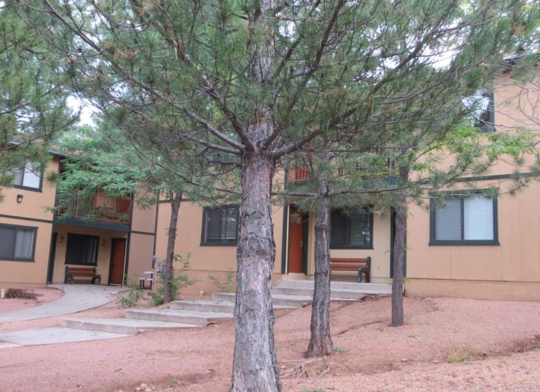 A tan two-story building with dark trim and multiple windows, part of Wavertree Apartments Flagstaff, is partially obscured by pine trees. Concrete steps and a small bench lead to the entrance, while reddish dirt covers the ground.