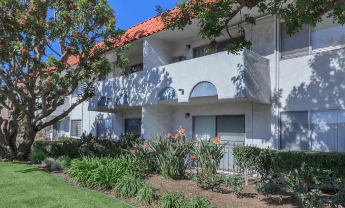 A white two-story apartment building on Mesa College Dr features a red tile roof, arched balcony details, large windows, leafy trees, Bird of Paradise plants, and neatly landscaped greenery under a clear blue sky.