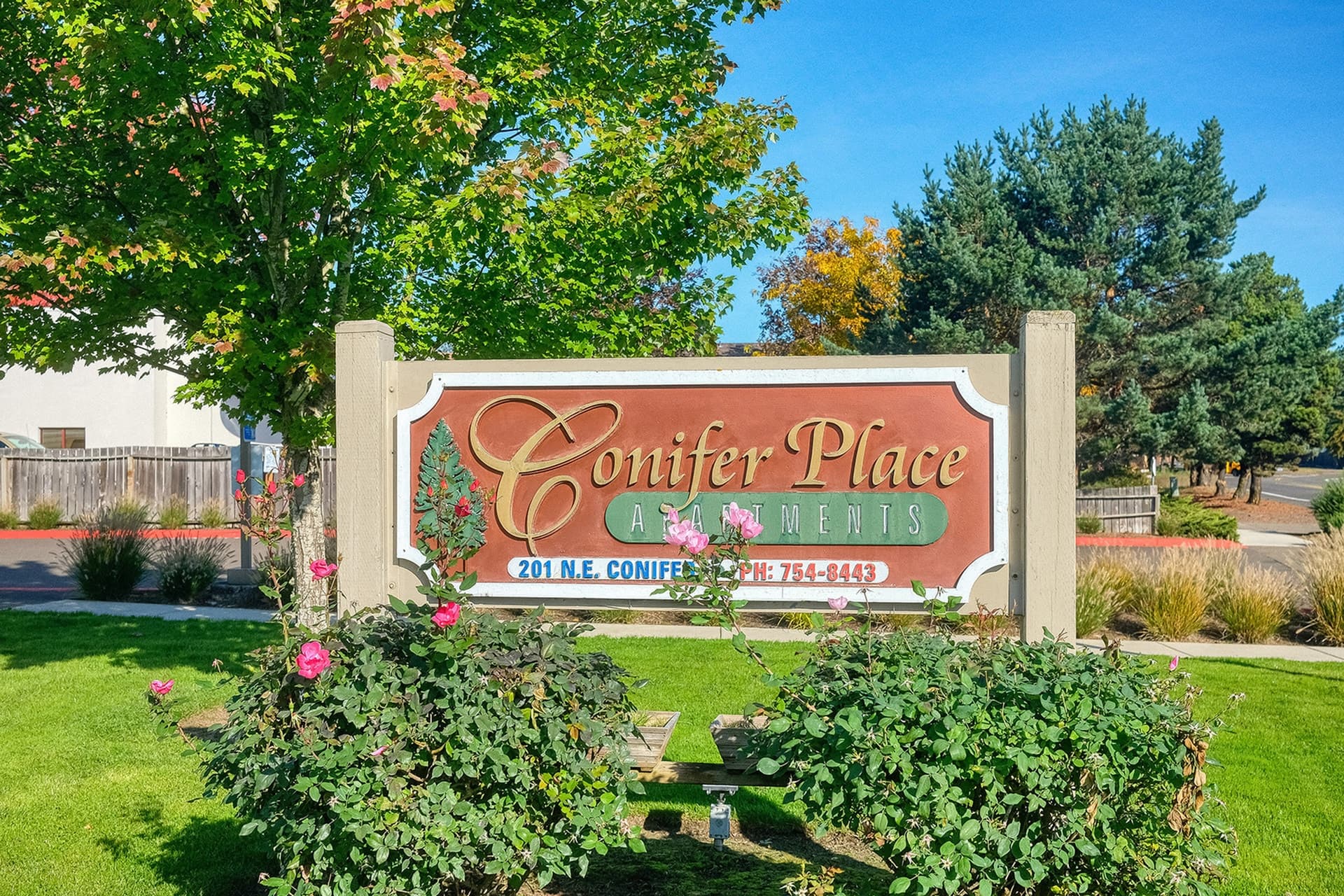 Conifer Place