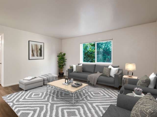 Pine Tree Apartments