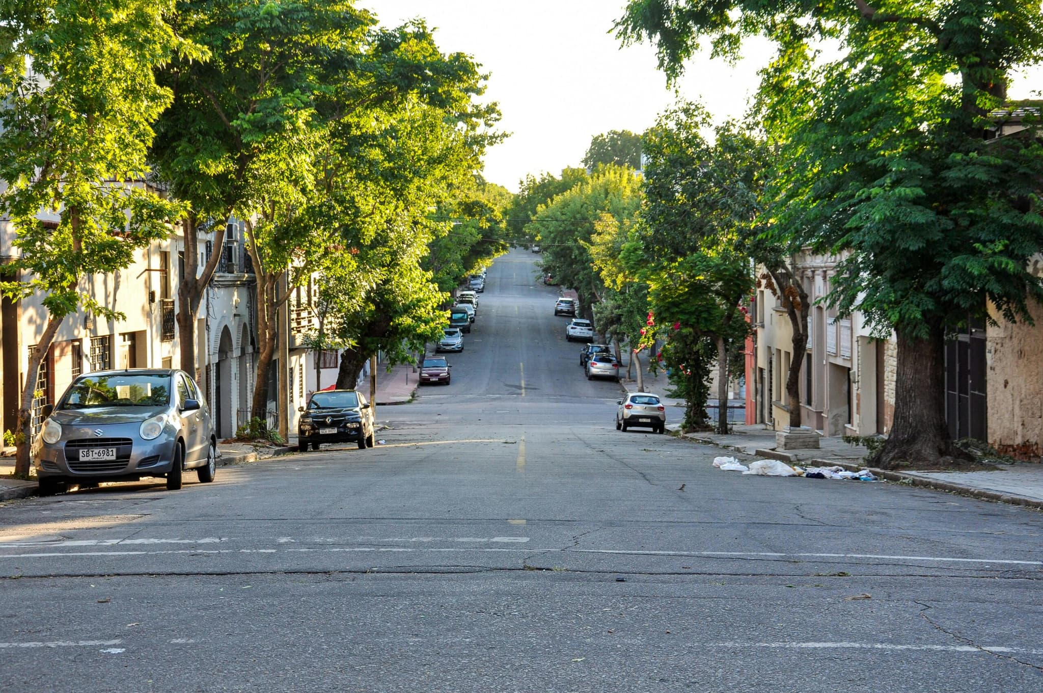 Best Neighborhoods in Logan for Graduate Students at Utah State University
