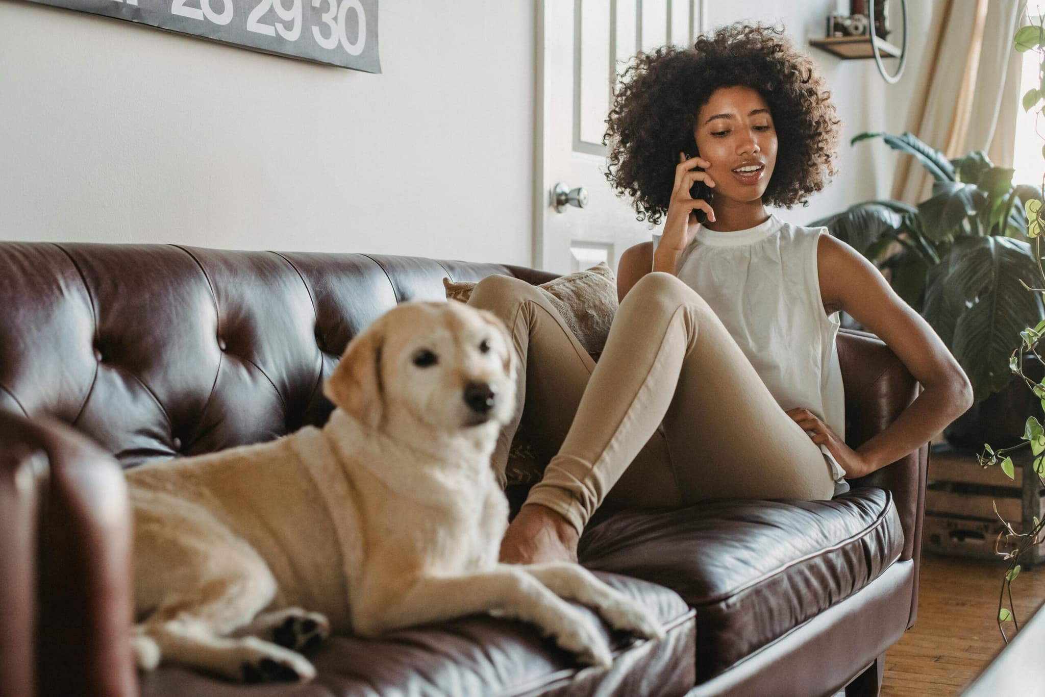 Is Pet-Friendly Student Housing Near Utah State University Actually Worth It?