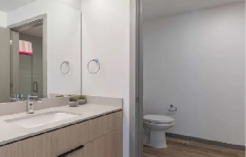Modern bathroom with an Accolade light wood vanity, white countertop, built-in sink, mirror, towel ring, and a separate toilet area featuring light-colored walls and wood-look flooring.