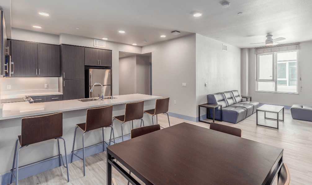 Modern open-concept apartment with a kitchen, four barstools at an island, dark cabinets, stainless appliances, a dining table, and a living area with a gray sofa, coffee table, and large window.