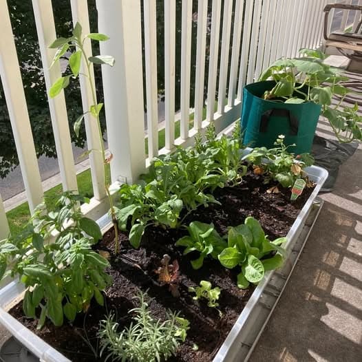 Private room with balcony near BYU
