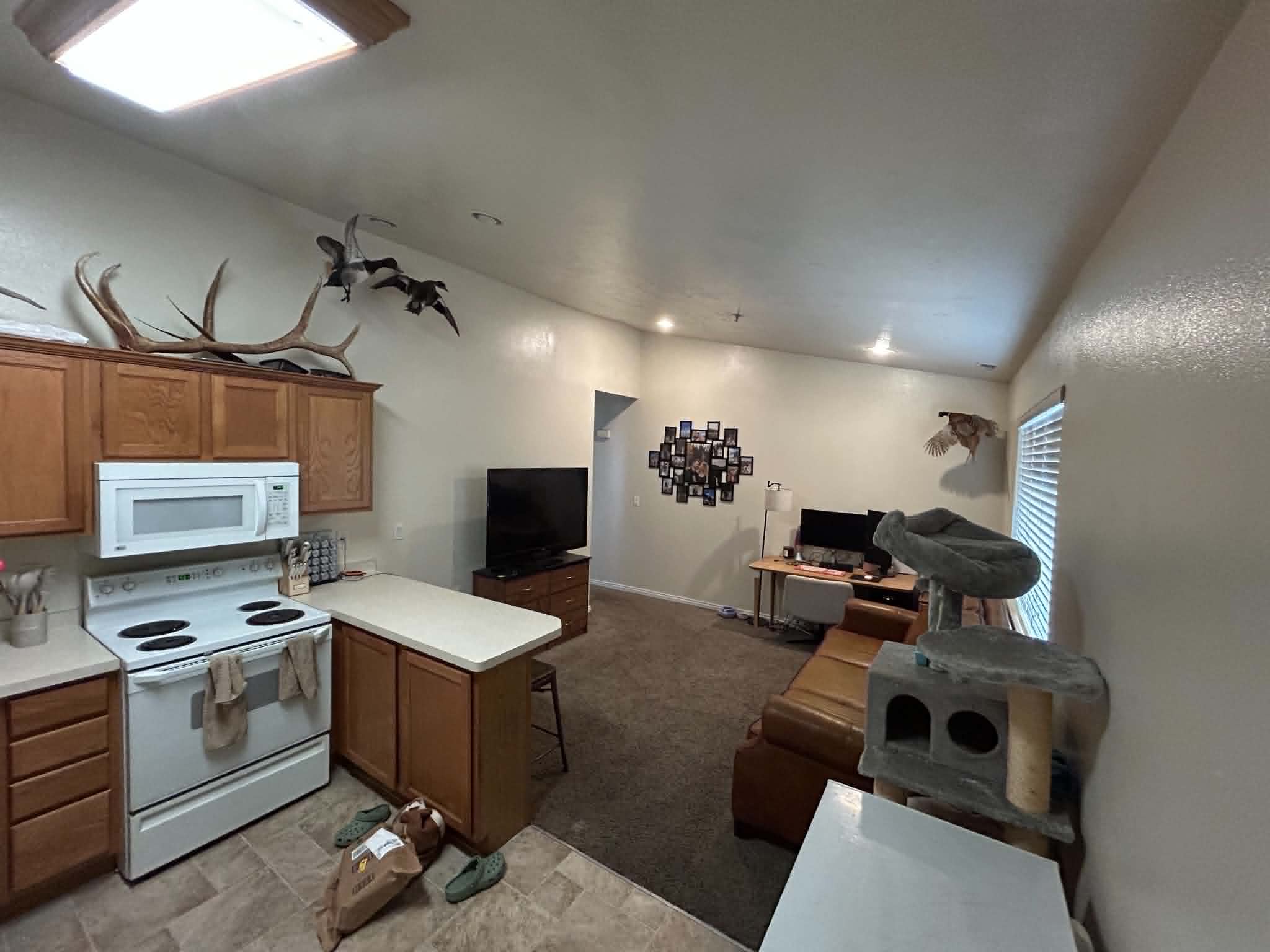 Top-Floor 1x1 near BYU w/ Vaulted Ceilings & Walk-In Closet, Free Rent until August 11th