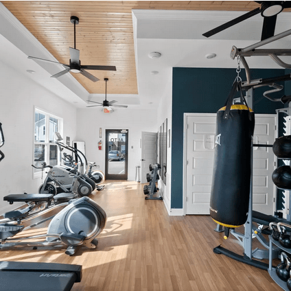 Alto Luxury Townhomes
