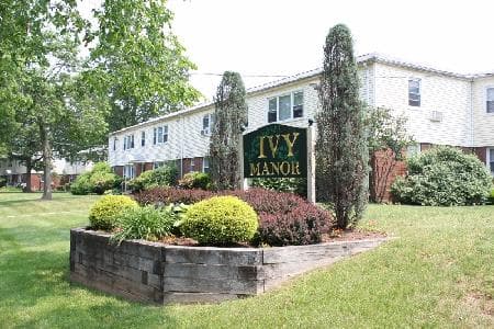 Ivy Manor