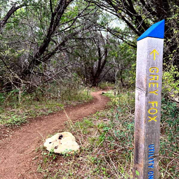 Campus Trailhead Apartments