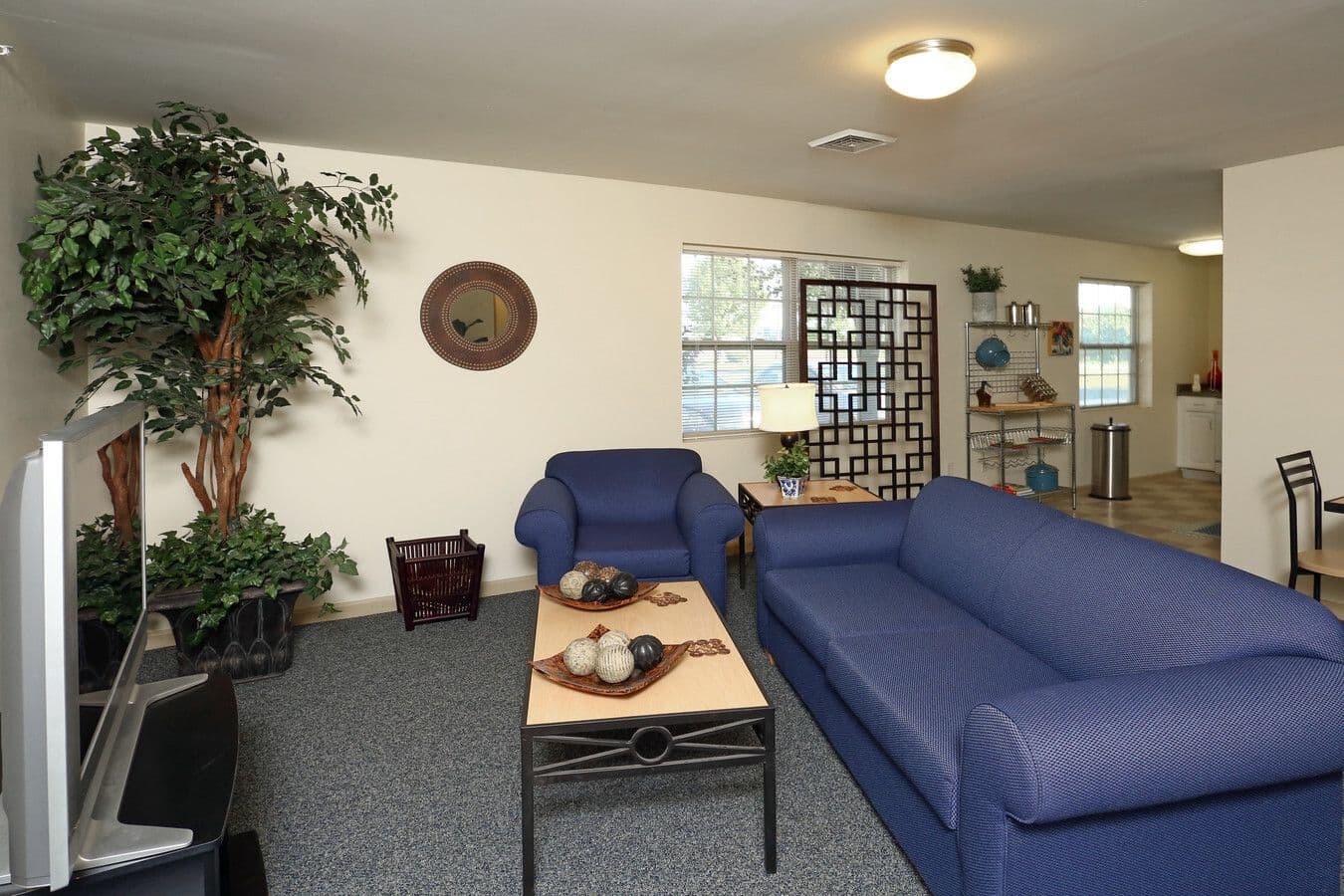 Park Place Collegiate Living
