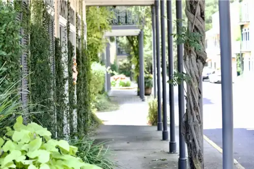 The French Quarter