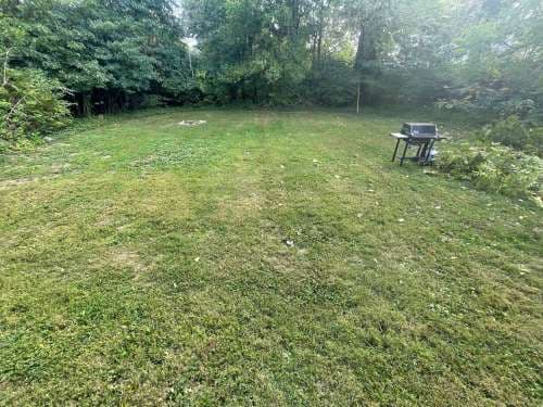 2404 E 8th - 4Bed/2Bath with Large Yard and New Remodeled!