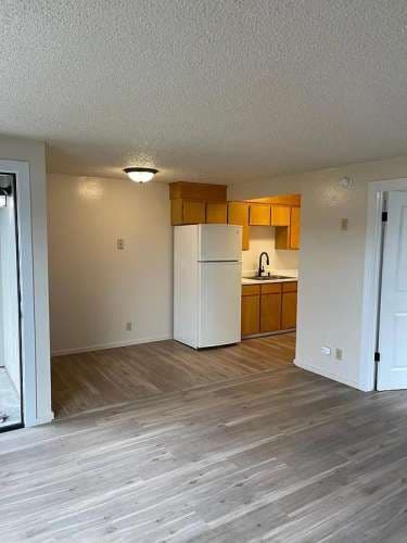 Spacious newly updated one bedroom Apartment