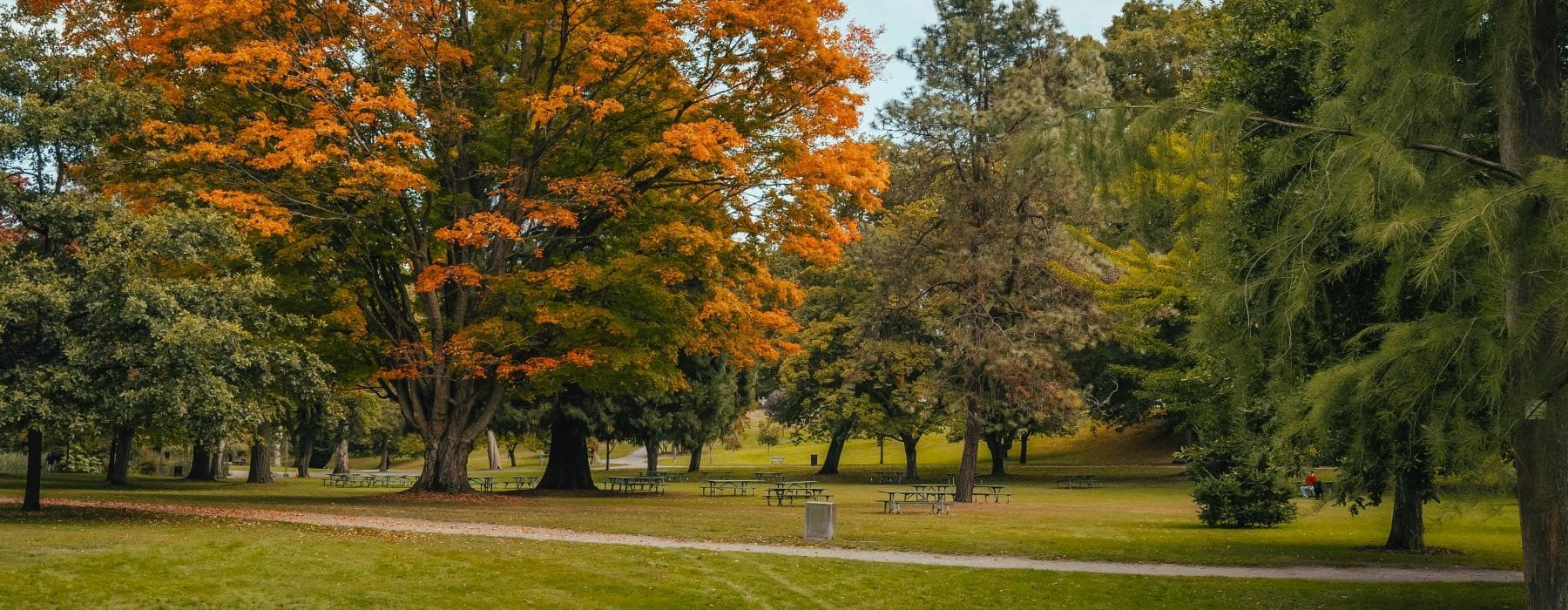 The Greens at Centennial Campus