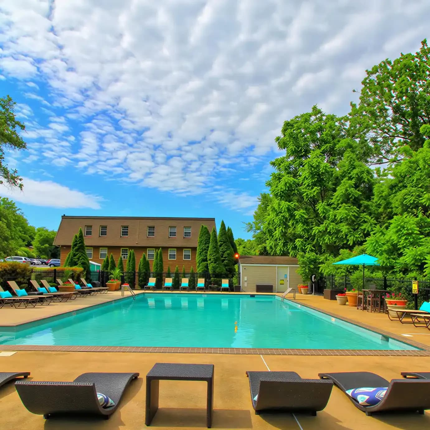 Apartments at Pine Brook