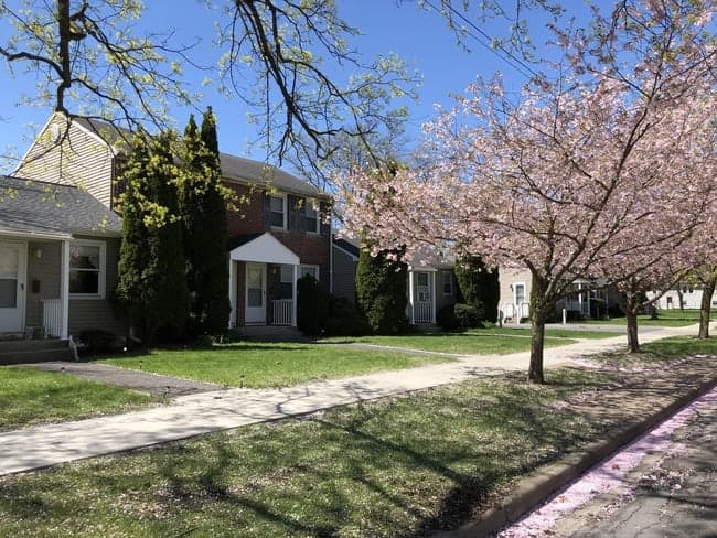 Parkside Vista