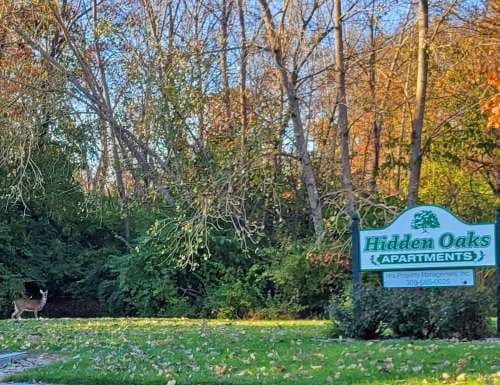 Hidden Oaks Apartments