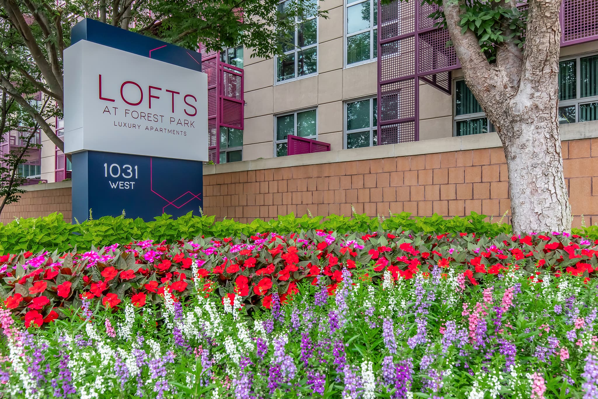Lofts at Forest Park