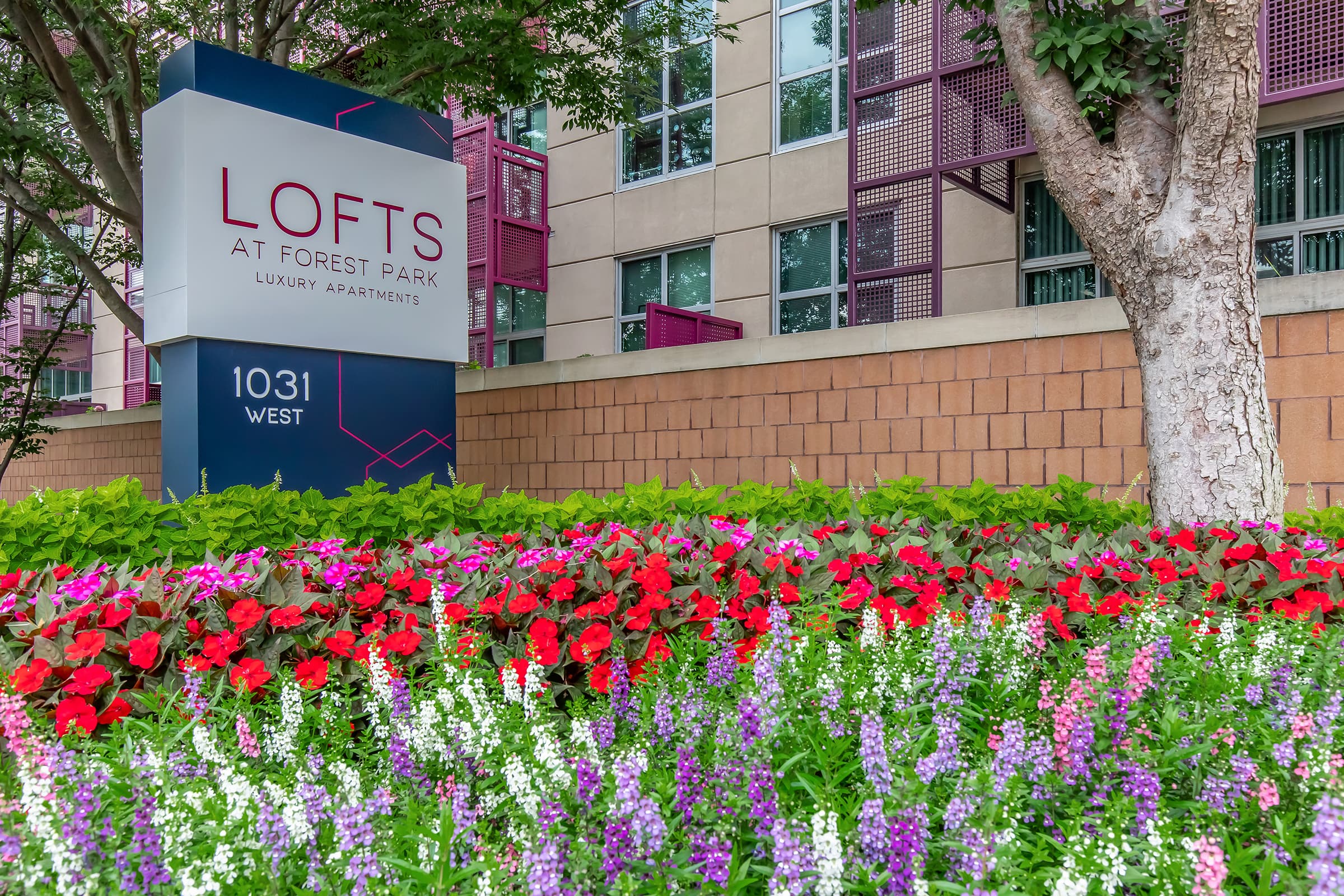 Lofts at Forest Park