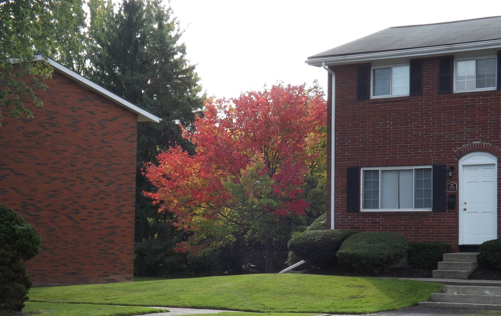 Westbrooke Commons