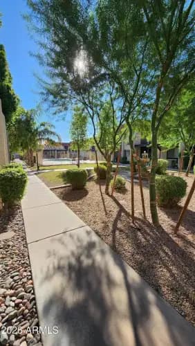 700 W University Drive