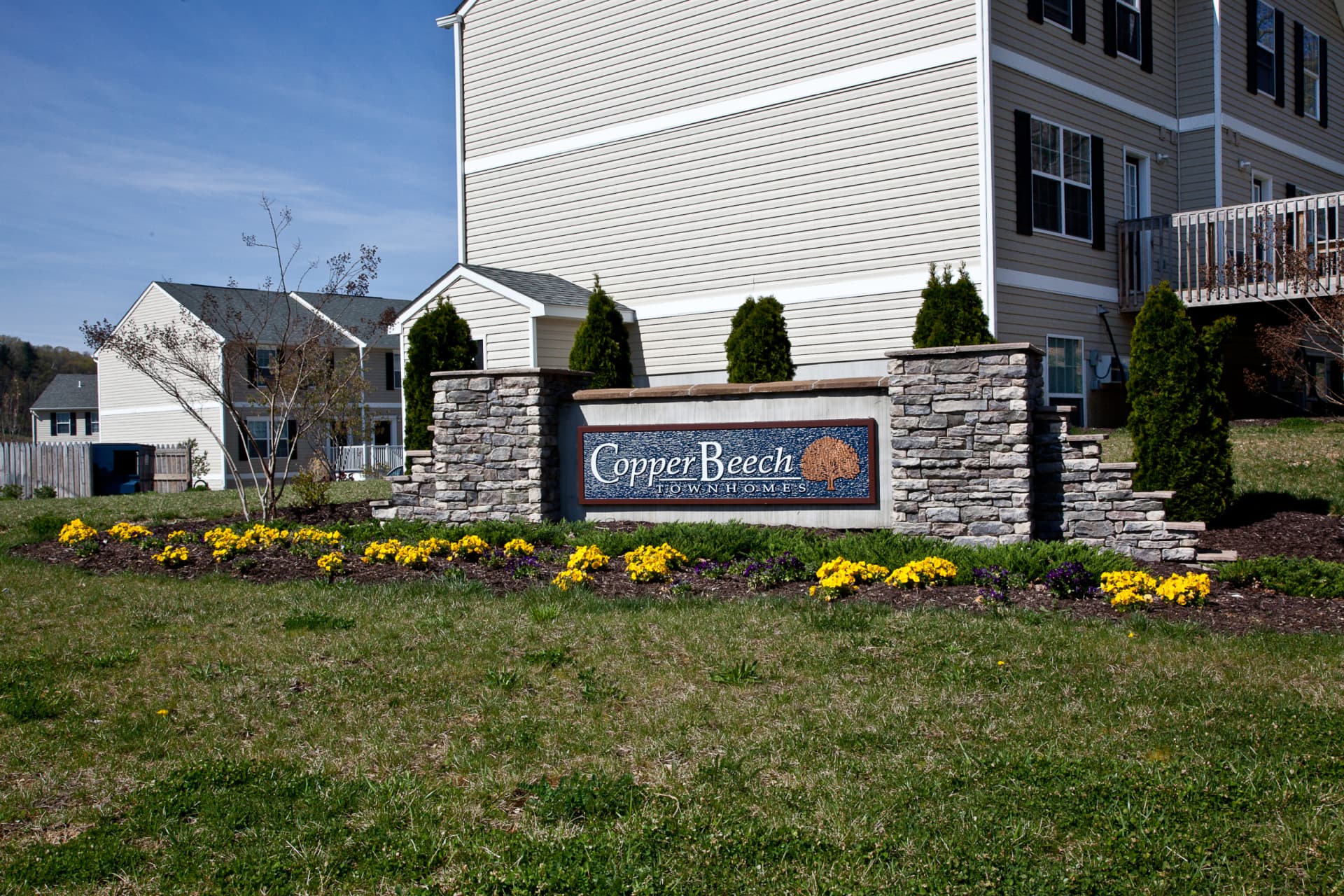 Copper Beech Harrisonburg