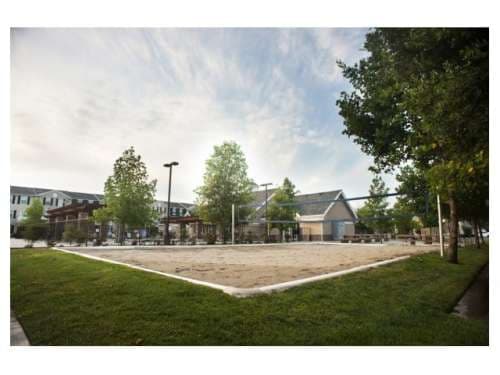 Copper Beech Fresno