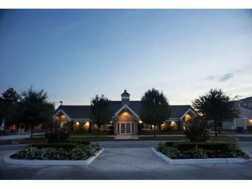 Copper Beech Fresno