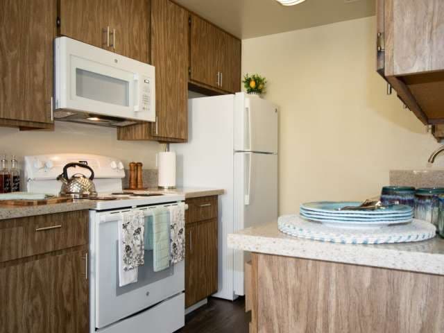 Gold Coast Apartments