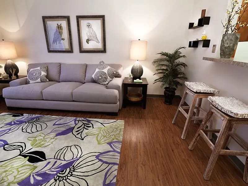 College Suites at City Station South