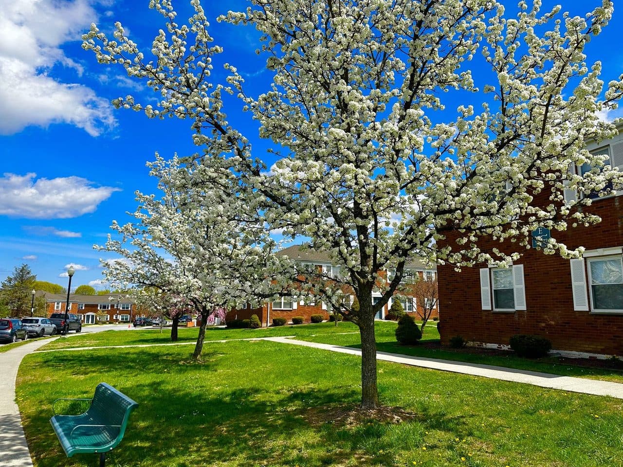 Ridgefield Apartments