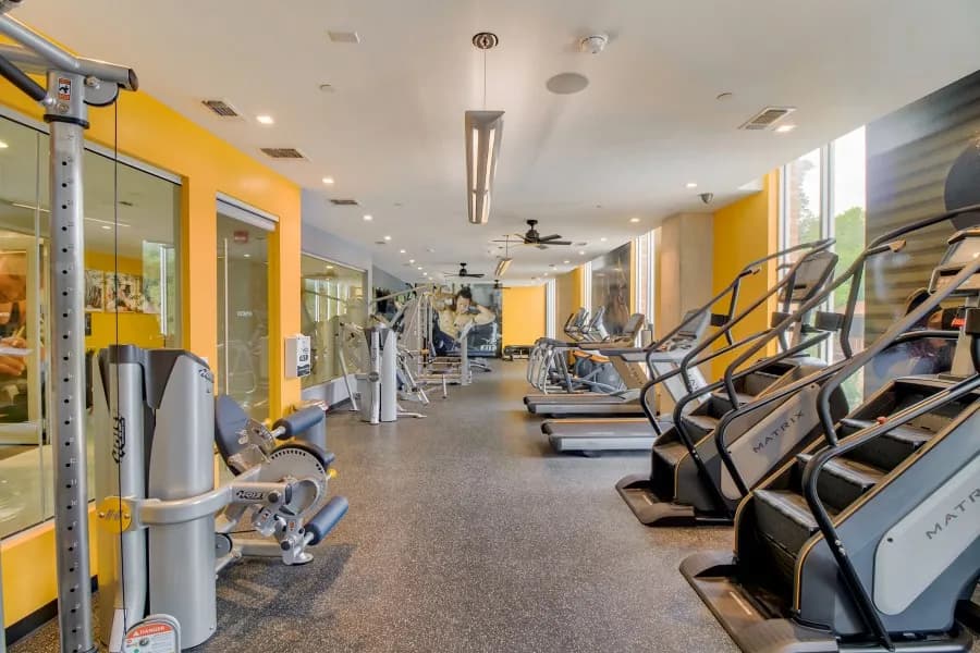 Vie Lofts at San Marcos