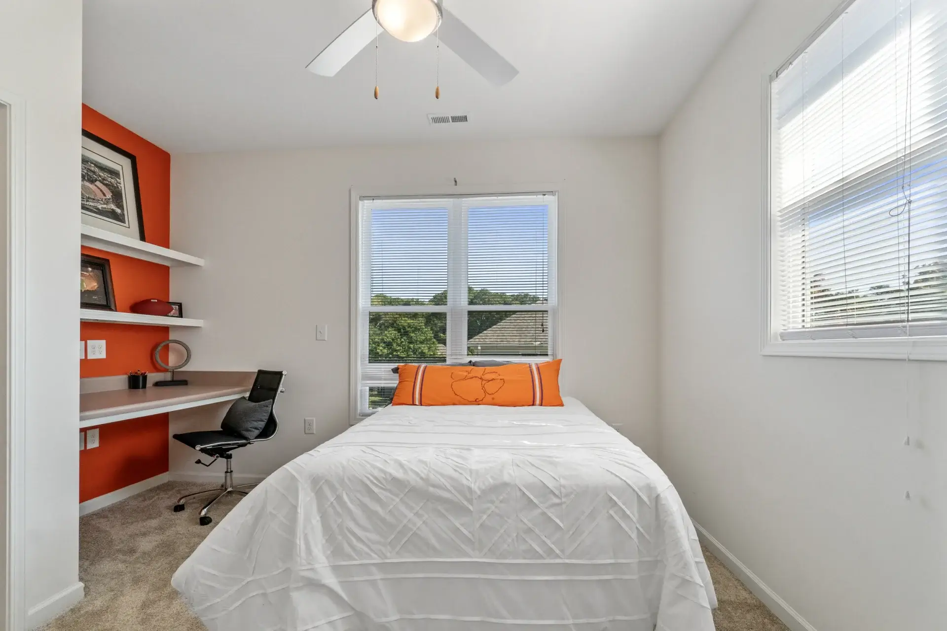Clemson Village