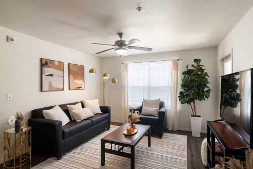 Lodge in San Marcos