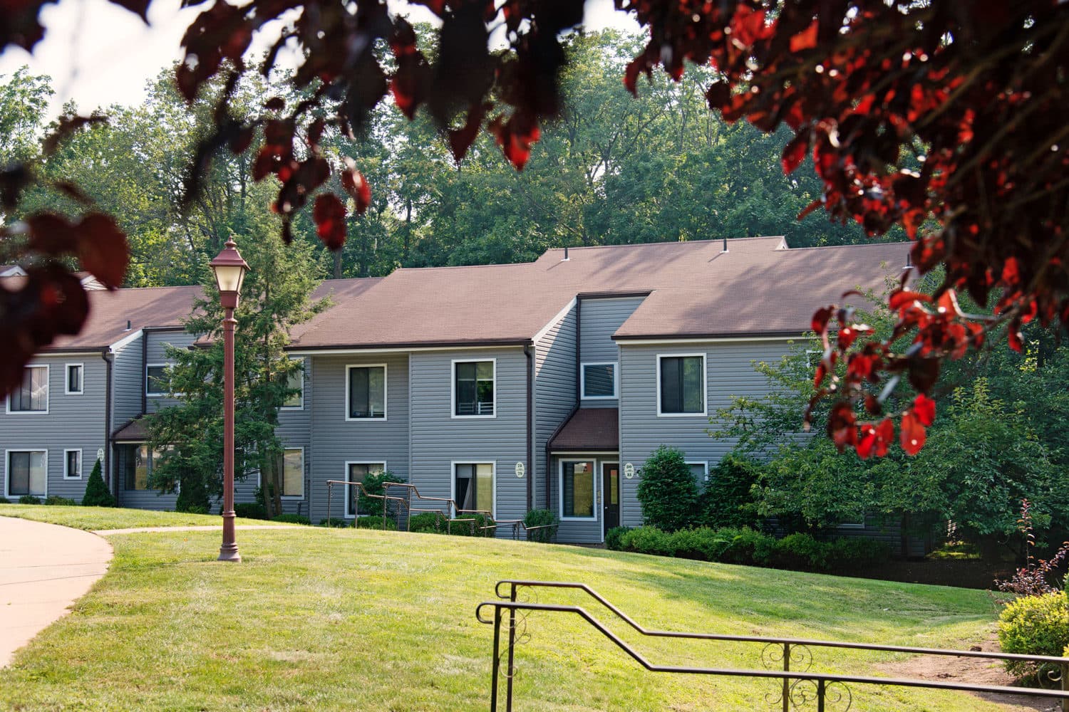 Forest Glen