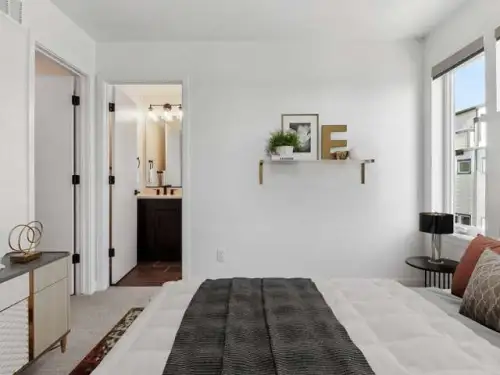 Luxury Townhomes in Old Town Fort Collins!!