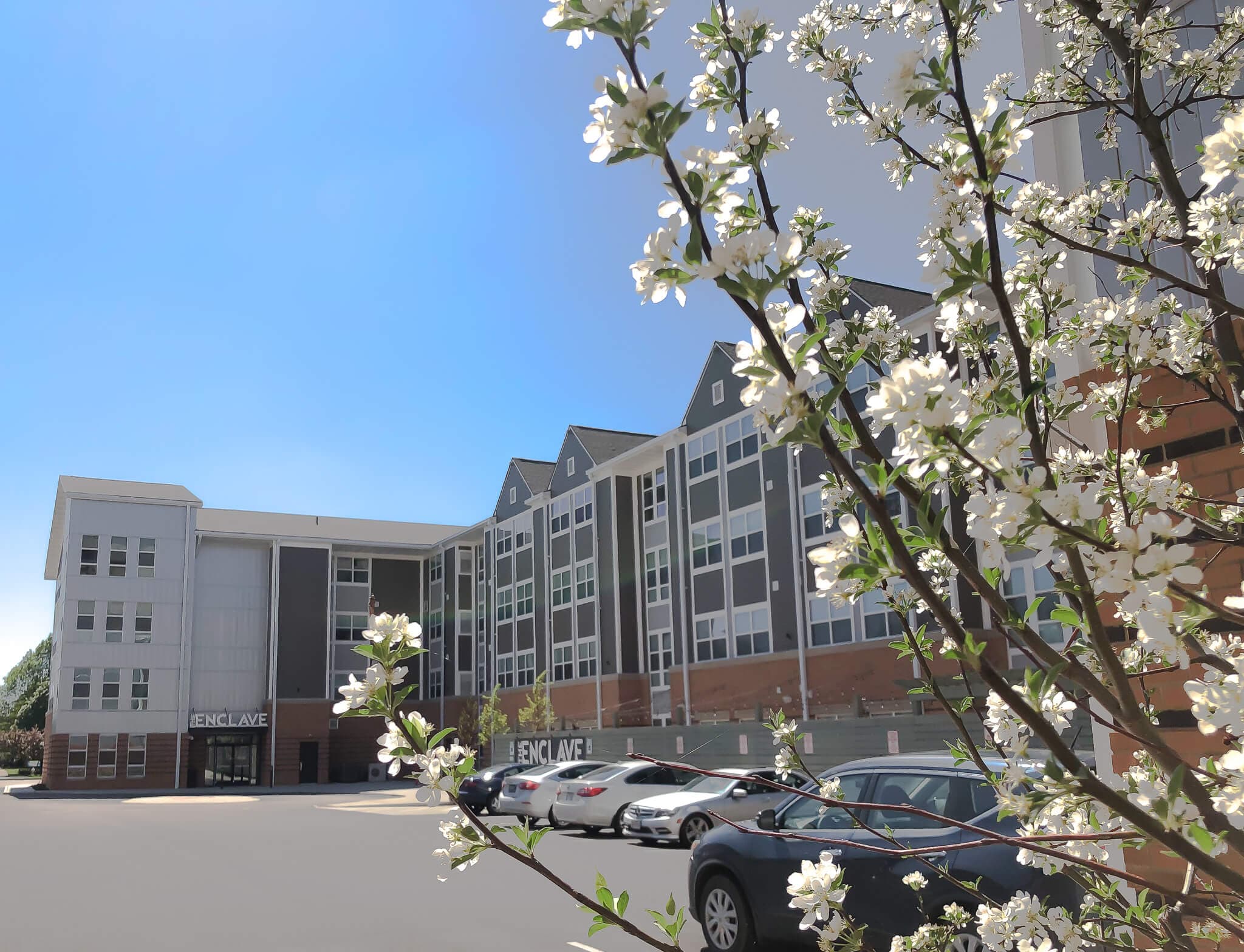 YSU Enclave