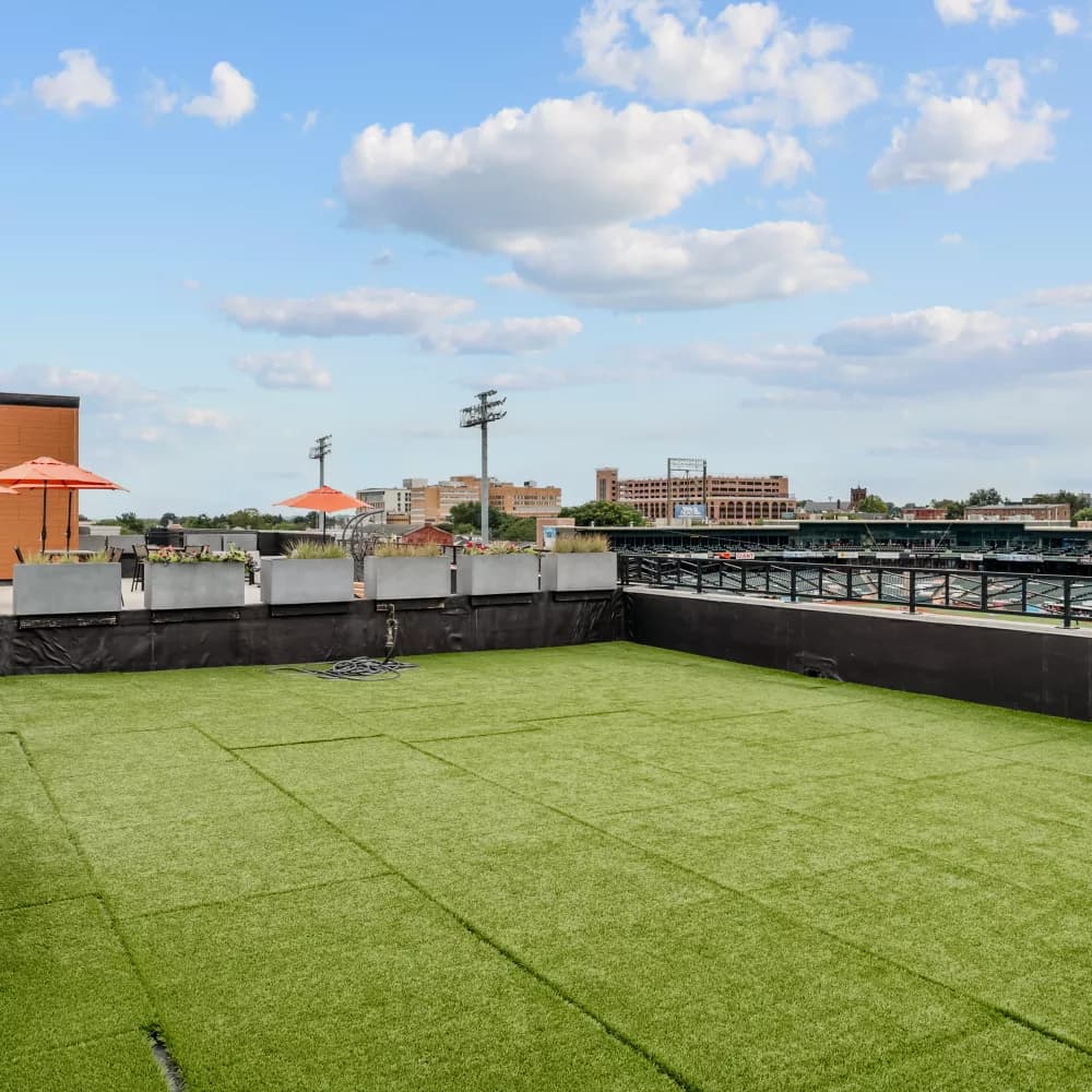Stadium Row