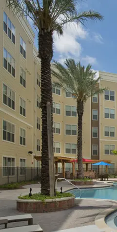 Saga Tallahassee